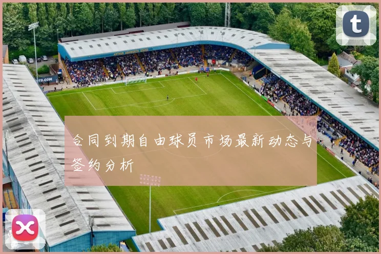 合同到期自由球员市场最新动态与签约分析